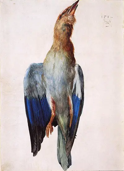 Albrecht Durer'S Animals - Paintings, Woodcuts, Etchings And Drawings