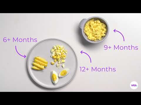 Eggs - How to Feed Your Baby Safely